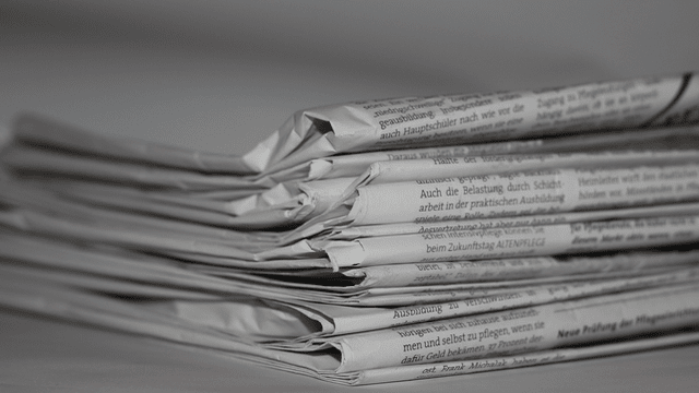 | REVUE DE PRESSE |  Gaëlle BEL, artiste peintre, s'apprête à ouvrir sa galerie 